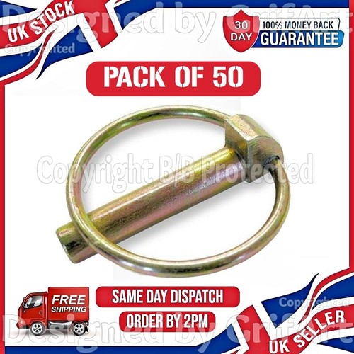 6mm perni linciaggio - 50,